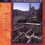 Encountering the New Testament